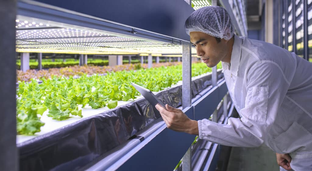 El botánico que sostiene la tableta se inclinó para mirar más de cerca las plantas